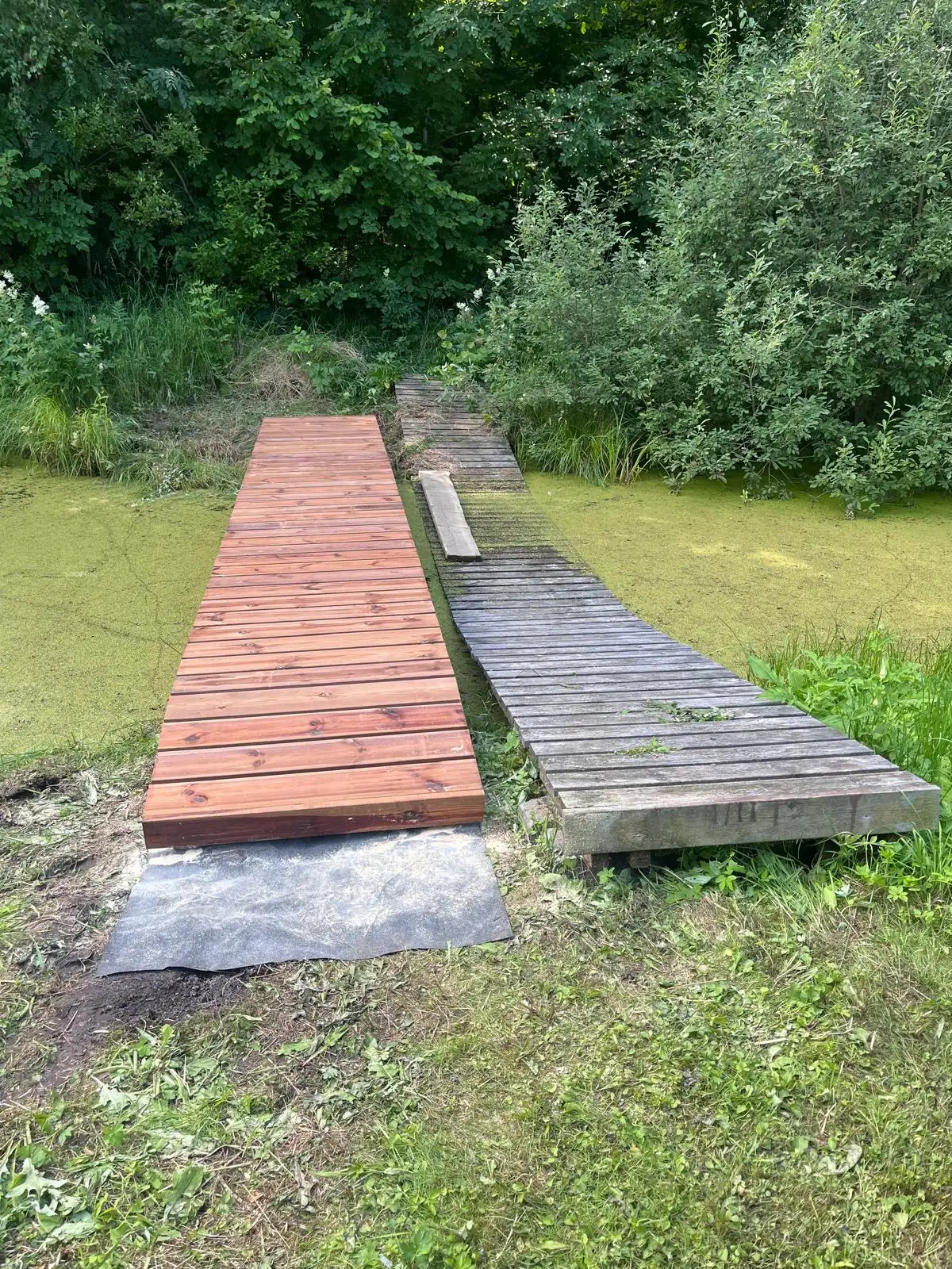 New timber footbridge over a pond beside the old weathered one